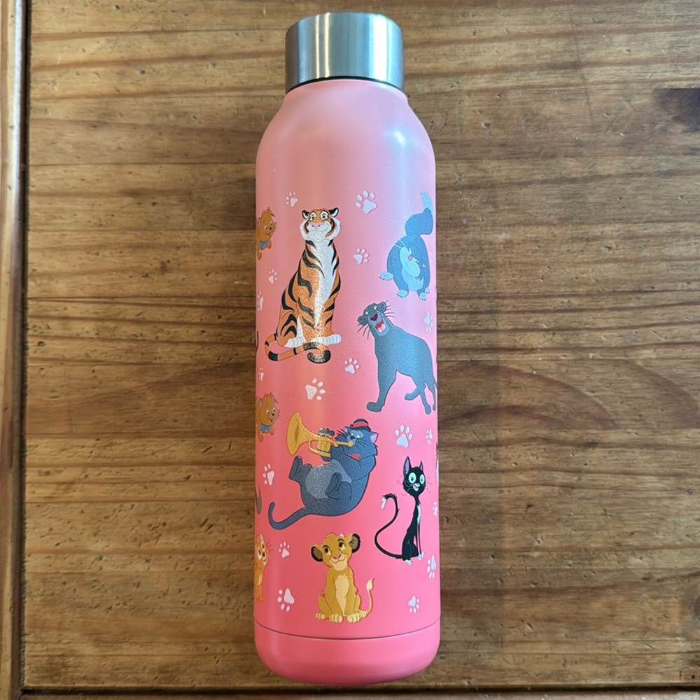 Disney Cats Stainless Steel Water Bottle
